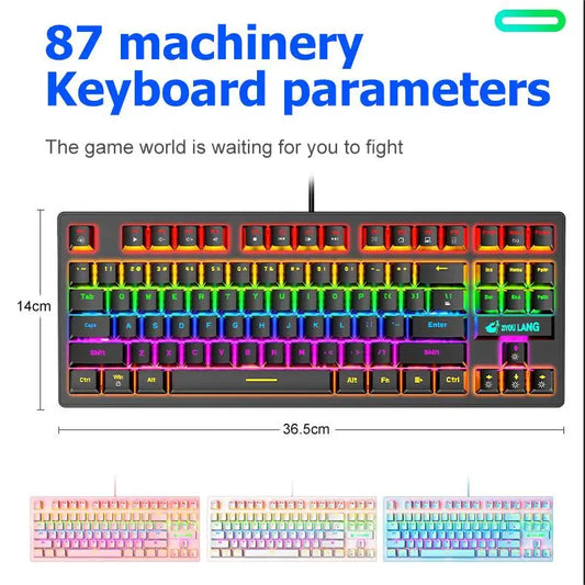 K2 Punk Mechanical Keyboard 87 Keys – Compact TKL Gaming & Office Keyboard for Laptop & Desktop